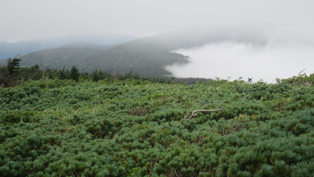 ガスの切れ間に640