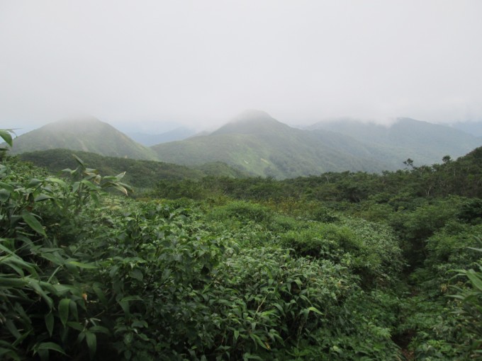 白子森と鷲ヶ森山