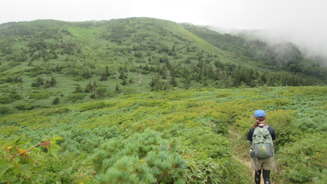 小畚岳大深山鞍部640