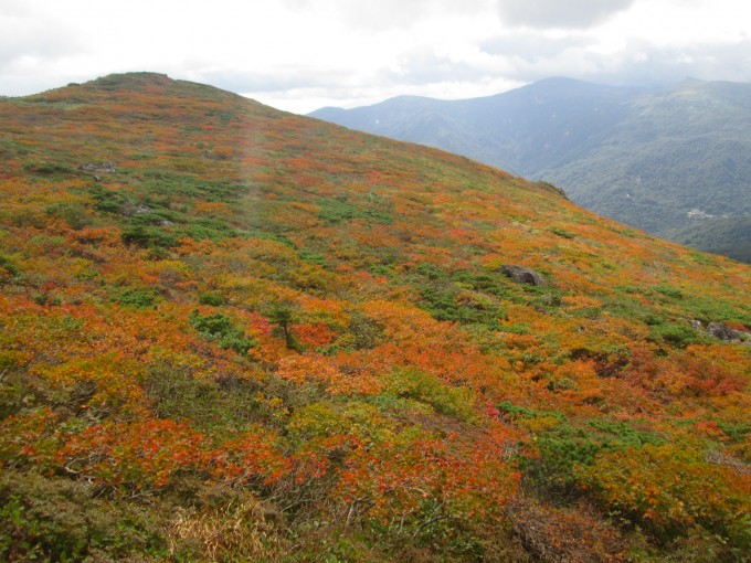 燃える山肌