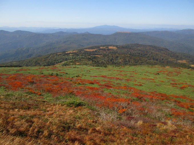 田代岱湿原と森吉山