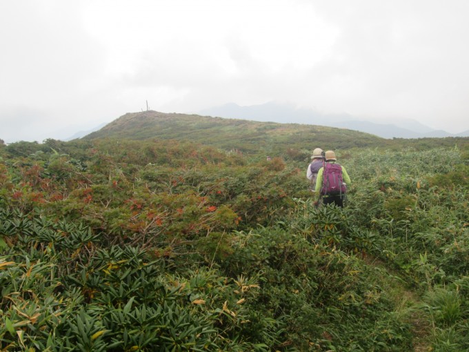 南本内岳山頂