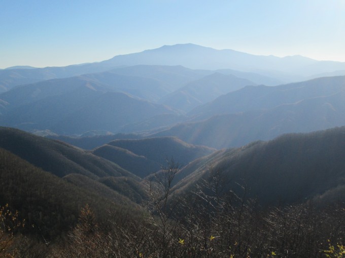 林道から仰ぐ早池峰山