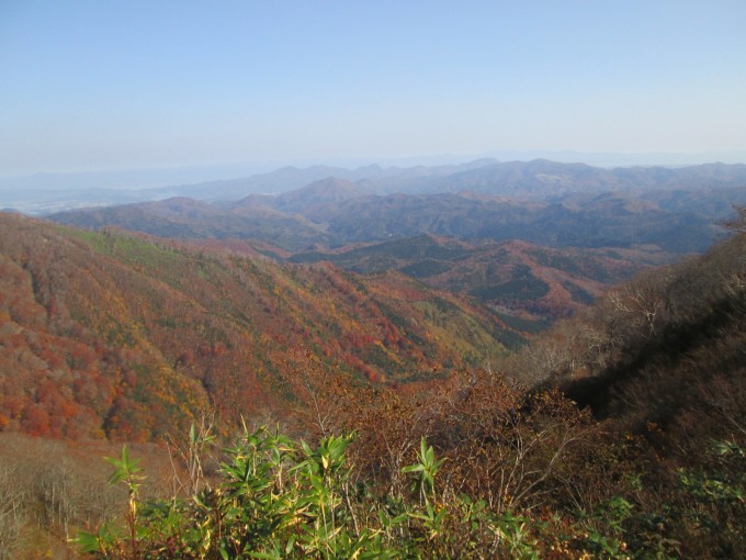 渋く燃える山肌