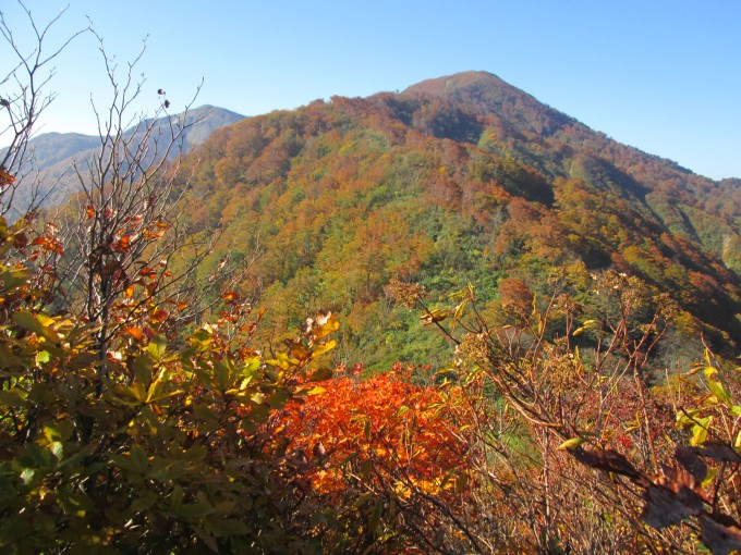 鷲ヶ森山