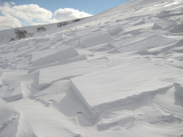 雪崩の跡640