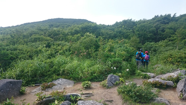 山頂直下640