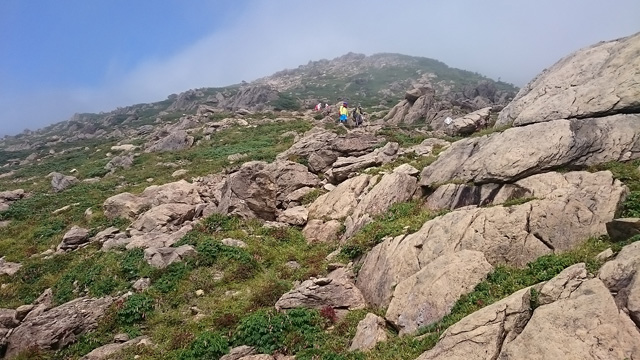 蛇紋岩と緑と640