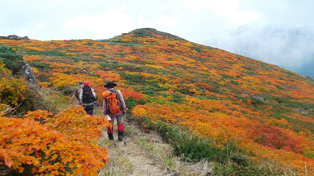 気の合う仲間で紅葉の山へ640