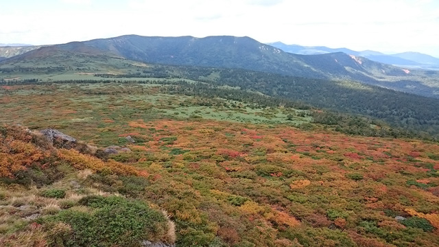 Y源太ヶ岳と紅葉640