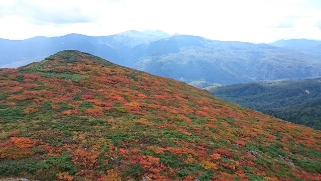 Y紅葉と秋田駒乳頭山640