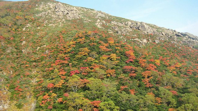 蛇紋岩と紅葉640