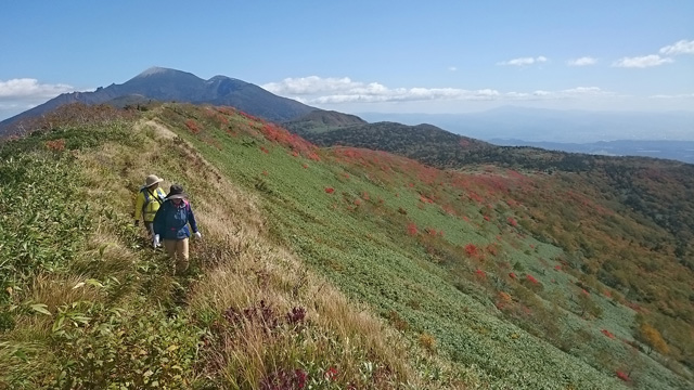 大松倉山の尾根を行く640