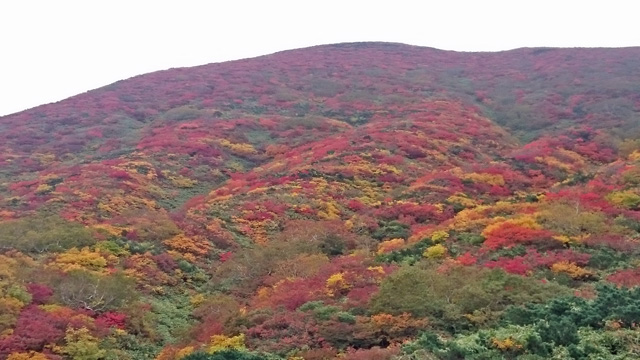 燃える山肌640