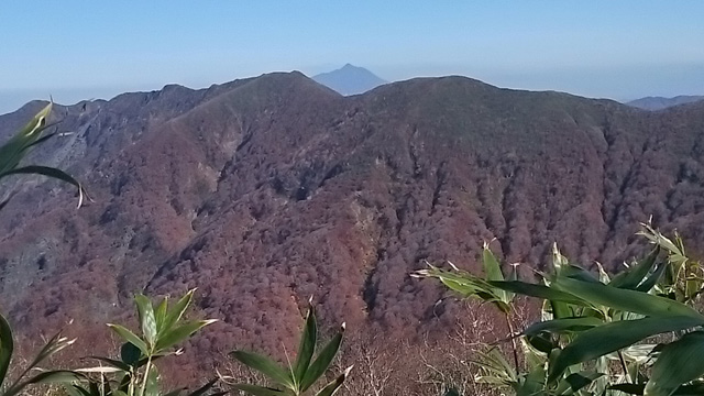 向白神岳と岩木山640