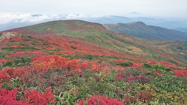 秣岳へ続く尾根と鳥海山640