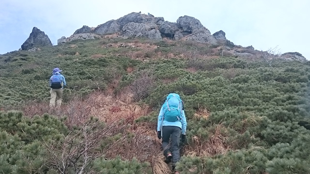 ニセ鶏頭の岩峰へ640