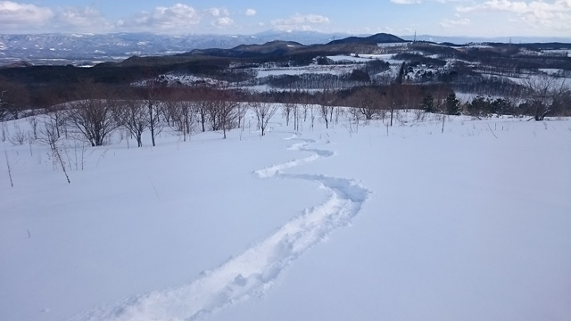 雪原に刻んだトレース640