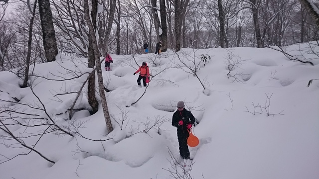 もふもふの雪をダウンヒル640