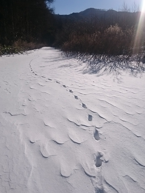 この道をあの山へ480