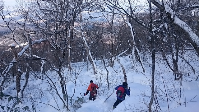 道なき道640