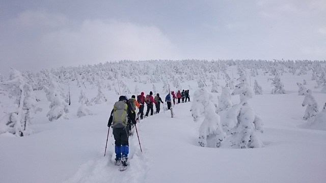 樹氷の中を進む640