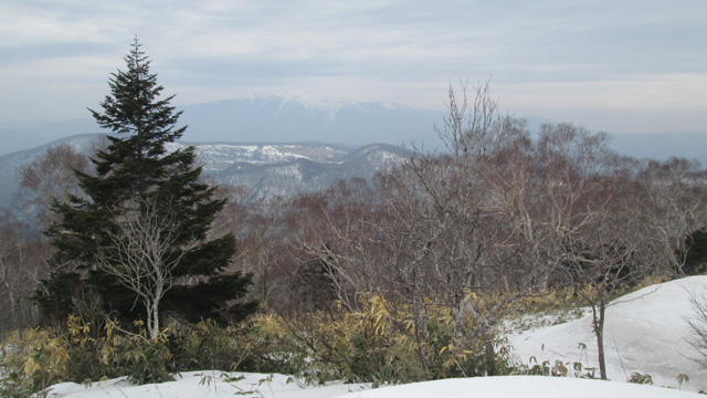 山頂部からの早池峰640