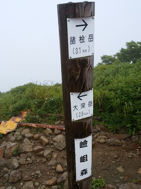 けんそ森480