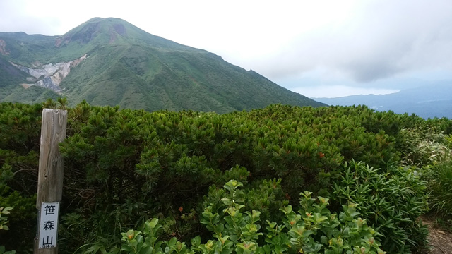 笹森山頂640