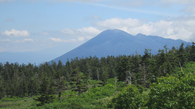 オオシラビソの向こうに岩手山640