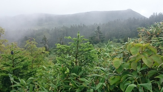 茶臼岳640