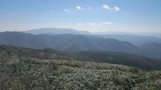 五葉山640