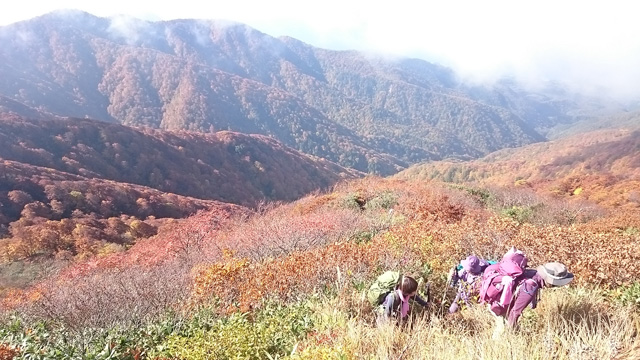 白神岳の紅葉640