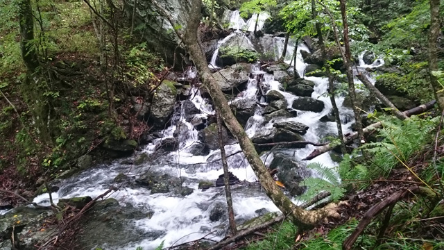増水の折合沢640