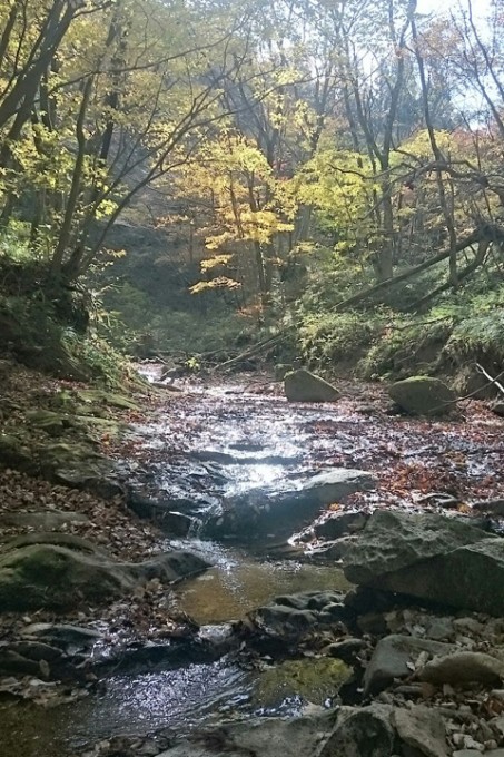 滑沢歩き720