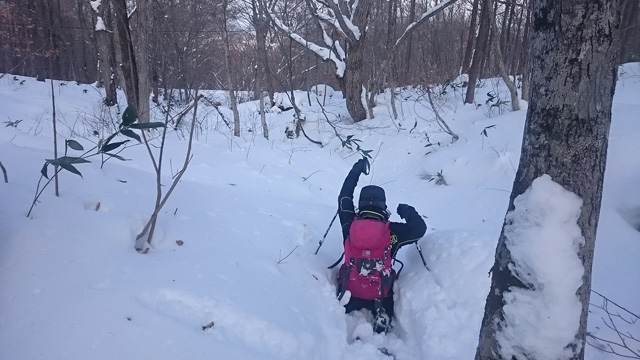腰までの雪640