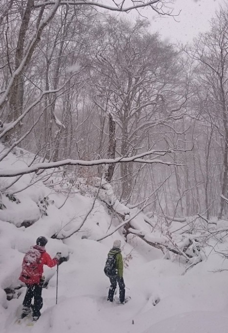 雪の沢を行く700