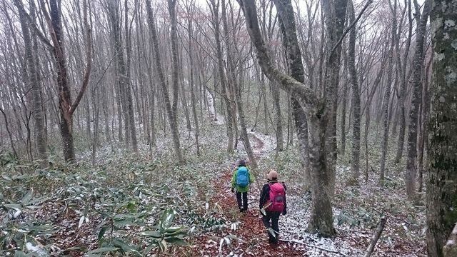羽黒山への縦走路640