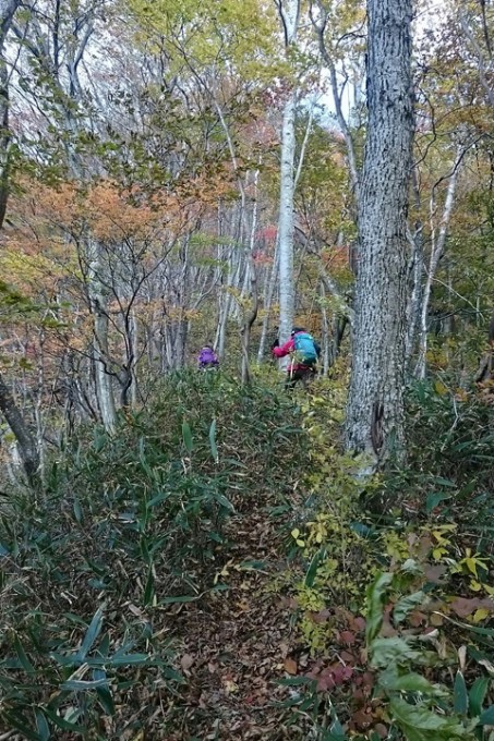桐の目山への急登720