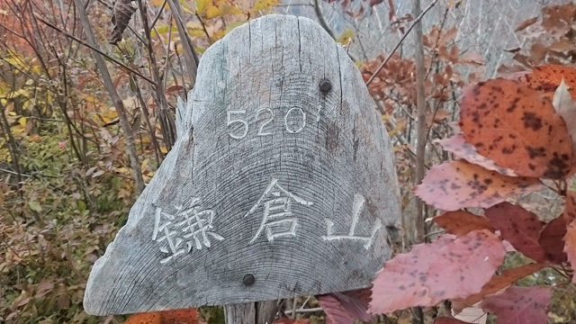 ゴリラ山640