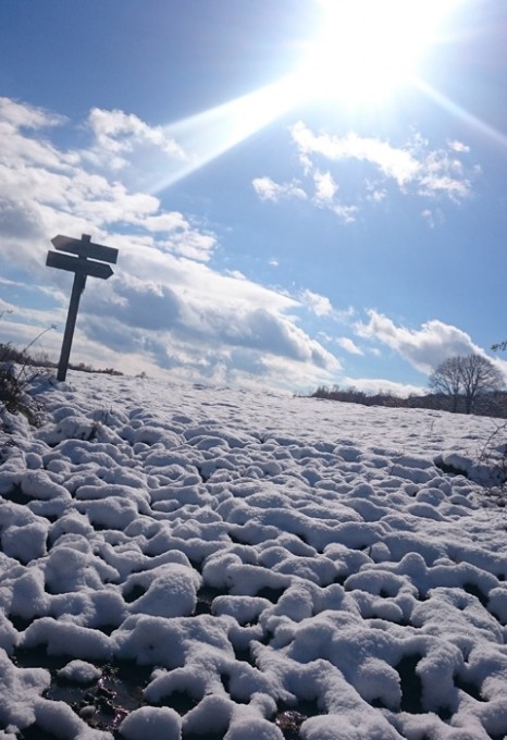 雪の田代平700