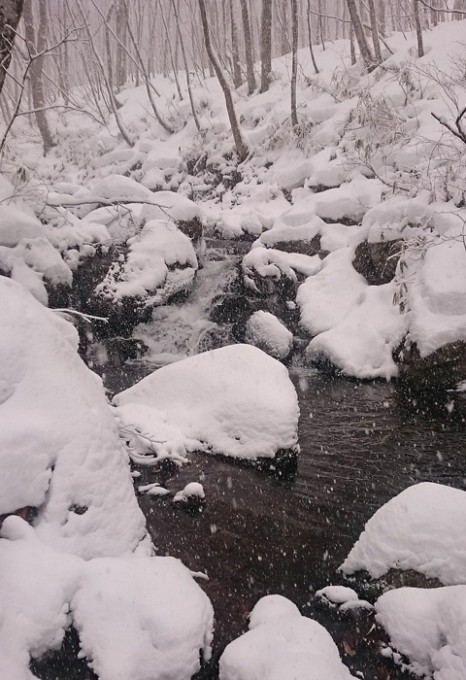 綿帽子の沢700