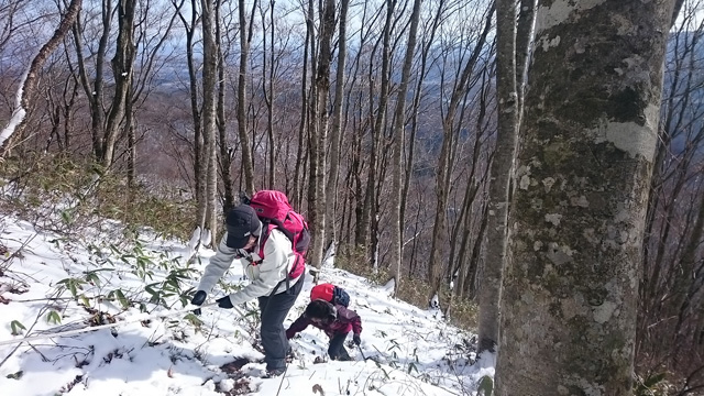 山頂直下のロープ場640