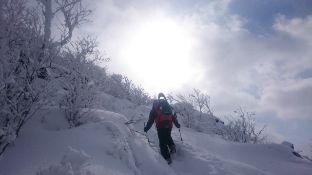 山頂直下太陽に向かって640