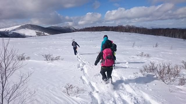 パンダが走っています640