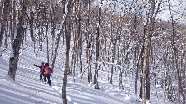 雪面に落ちる木の影640