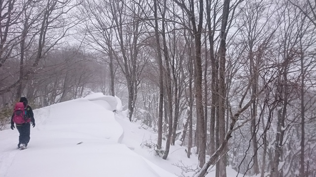山頂部尾根640