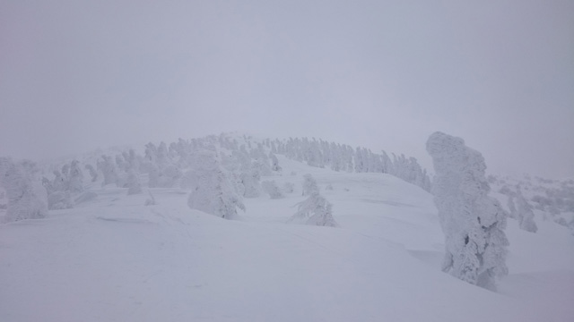 石森の樹氷群640