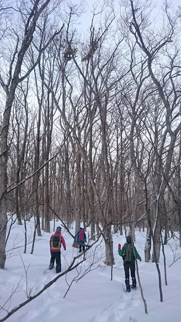 クマ棚を見上げて640