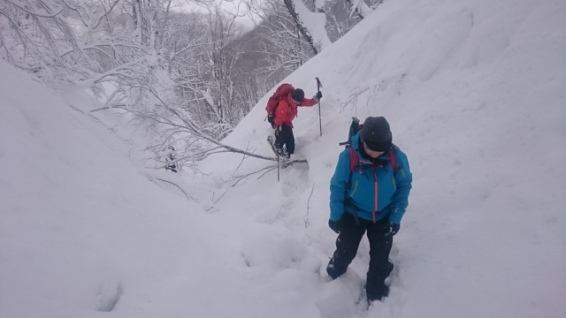 仙岩峠の深雪640